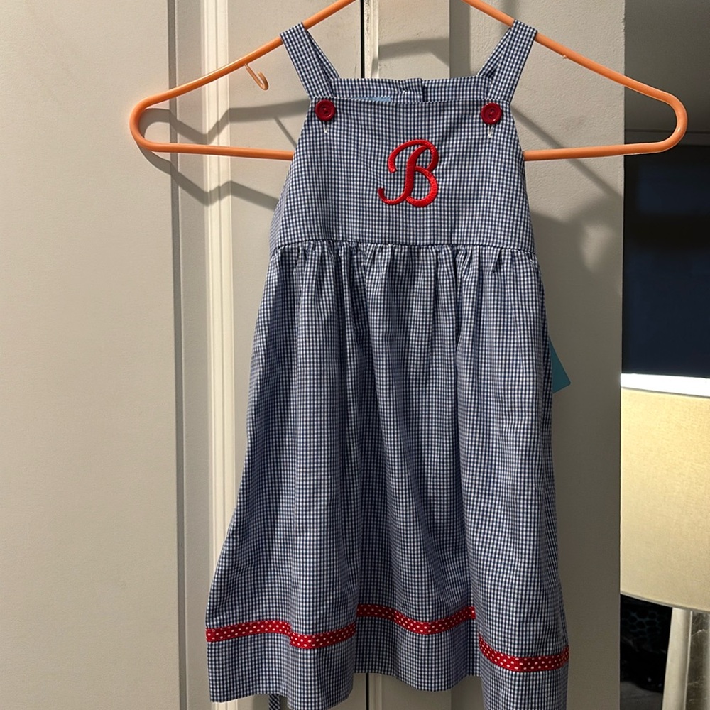 NWT Gingham Dress (18 m)